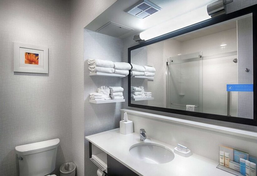 Номер Стандарт 2 Двуспальные Кровати, Hampton Inn Salina