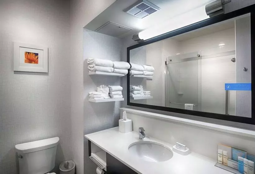 Standard-huone 2 Parivuodetta, Hampton Inn Salina