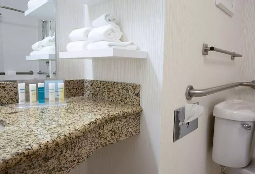 اتاق استاندارد برای معلولان, Hampton Inn St. Louis Southwest