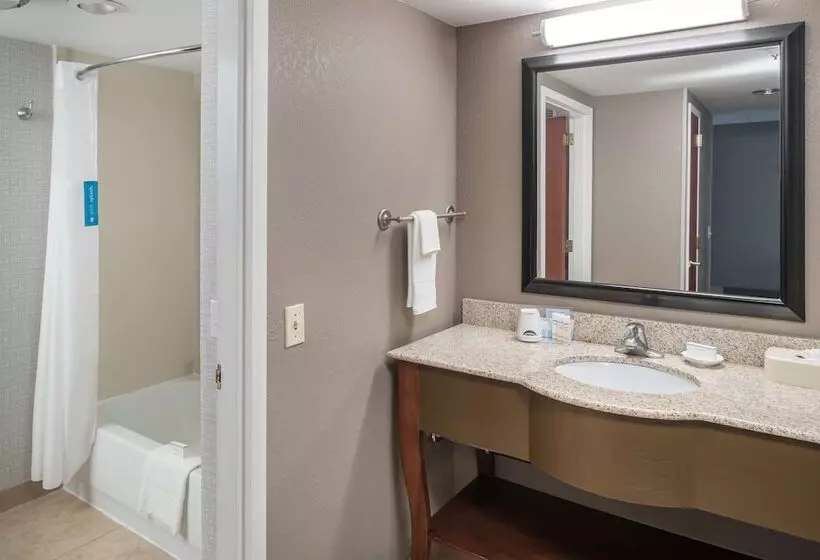 スイート, Hampton Inn & Suites Chicagonorth Shore/skokie