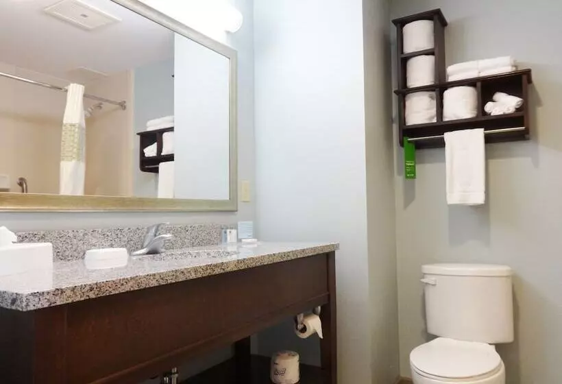 スイート, Hampton Inn & Suites Port St. Lucie, West