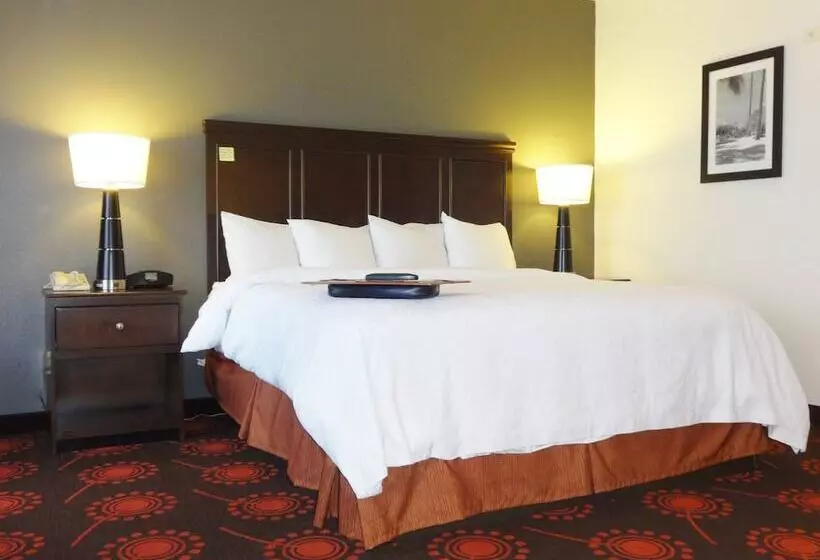 スイート, Hampton Inn & Suites Port St. Lucie, West