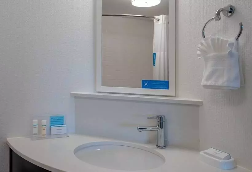 Sviitti, Hampton Inn & Suites Valley Forge/oaks