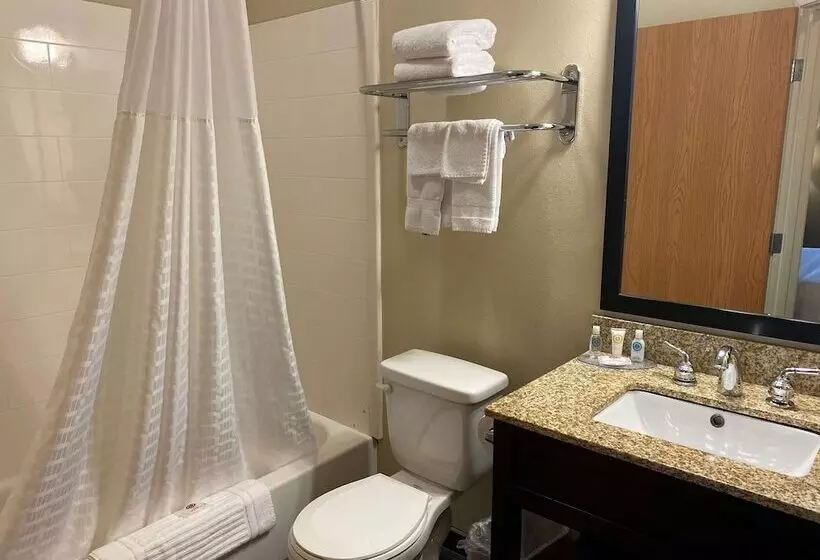 2ダブルベッドのスタンダードルーム, Surestay Plus By Best Western Jonestown Lebanon Valley