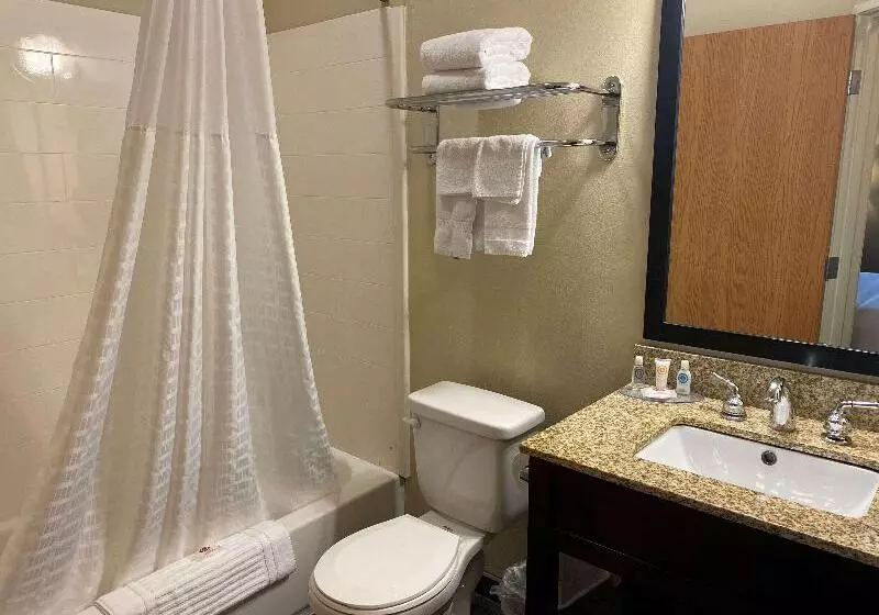キングサイズベッドのスタンダードルーム, Surestay Plus By Best Western Jonestown Lebanon Valley