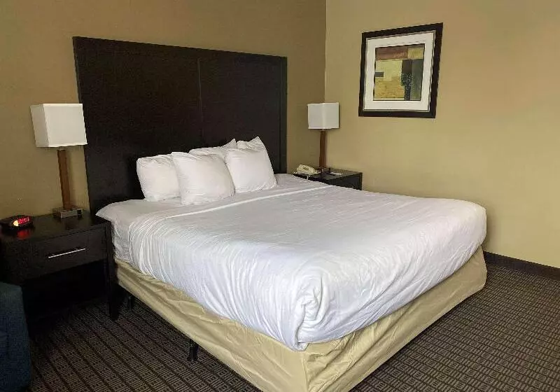Standard Room King Size Bed