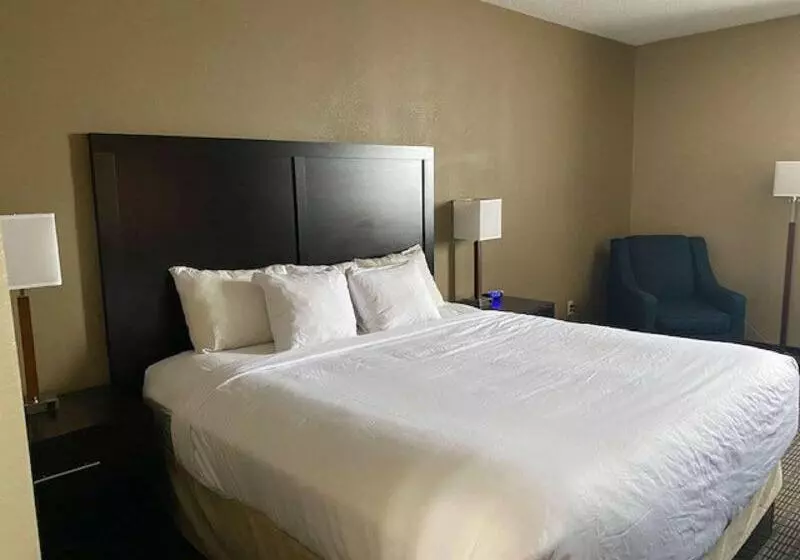 キングサイズベッドのスタンダードルーム, Surestay Plus By Best Western Jonestown Lebanon Valley