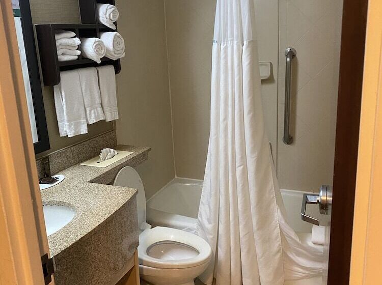 스탠다드 룸 더블 침대 2개, Wingate By Wyndham Springfield