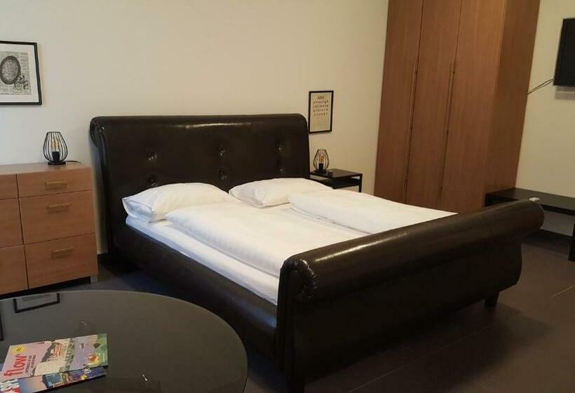 شقة غرفة واحدة, City Center Apartments Linz