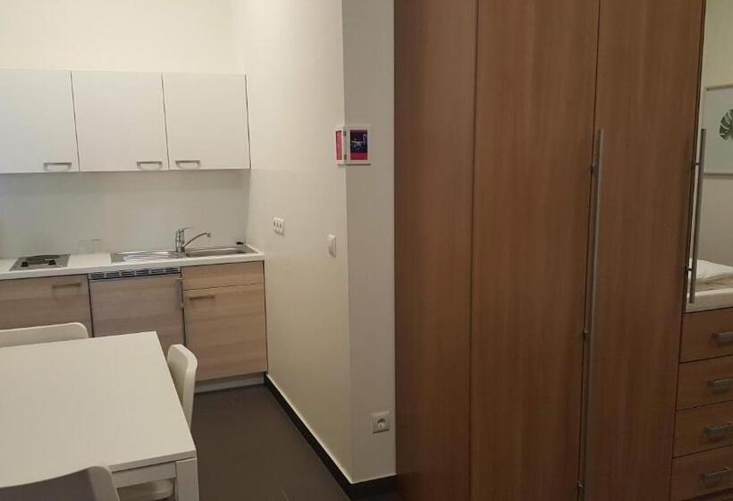شقة غرفة واحدة, City Center Apartments Linz