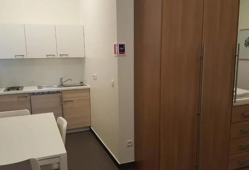 آپارتمان 1 خوابه, City Center Apartments Linz