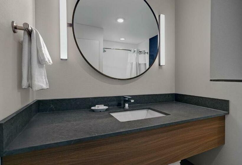 스탠다드 룸 킹사이즈 침대, Fairfield Inn & Suites By Marriott Milwaukee Brookfield