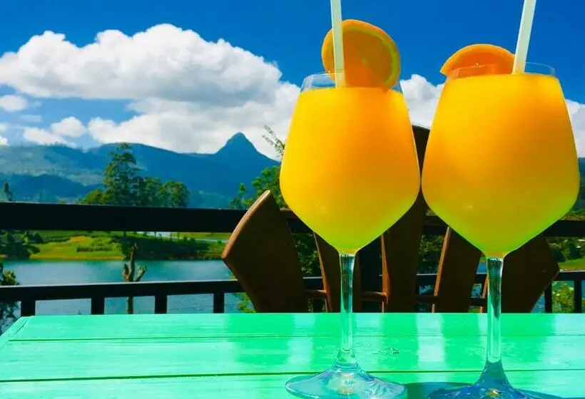 ファミリールーム, Butterfly Mountain Lake Side