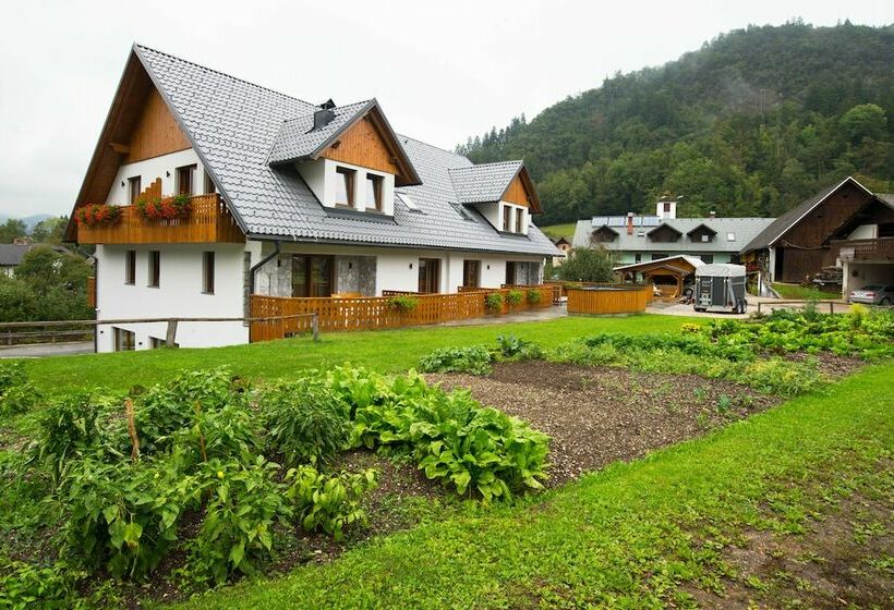 اتاق خانوادگی, Pr Anzl