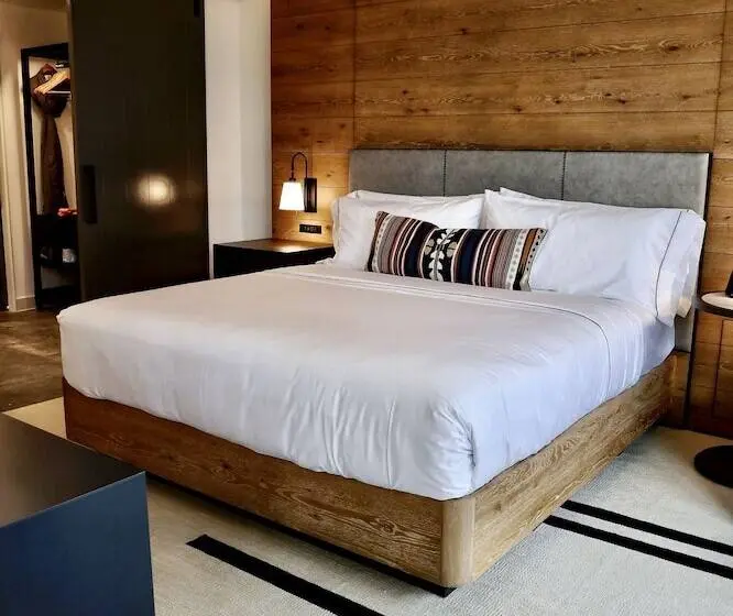 Premium Yhden Hengen Huone, Canopy By Hilton San Antonio Riverwalk