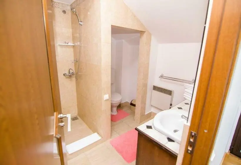 آپارتمان 2 خوابه, Pension Casa Medievala