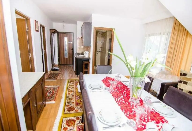 آپارتمان 2 خوابه, Pension Casa Medievala