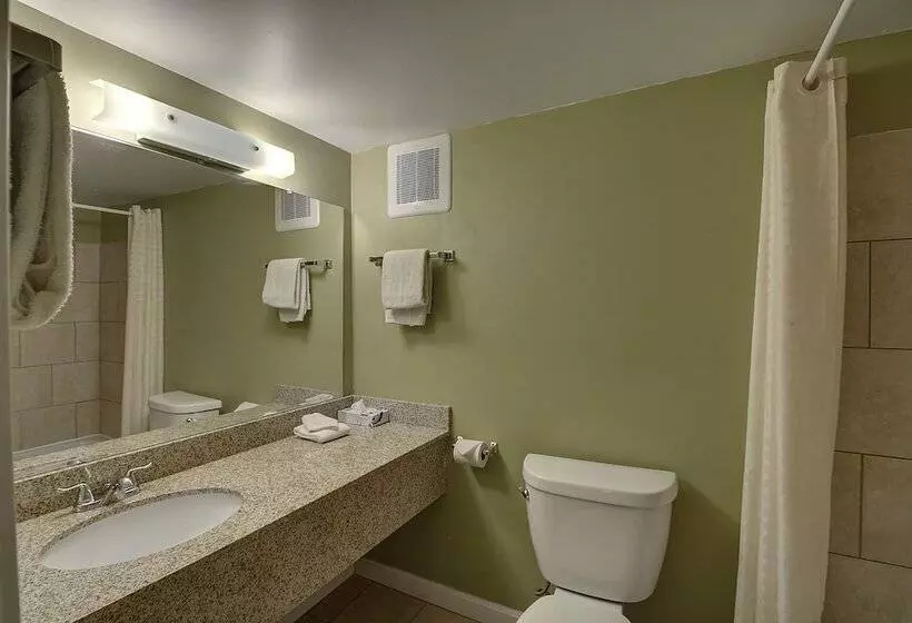 ２ダブルベッドのスタンダードルーム, Colonial Motel And Spa