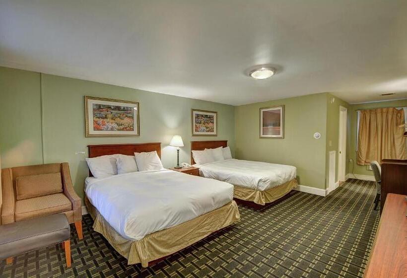 Номер Стандарт 2 Двуспальные Кровати, Colonial Motel And Spa