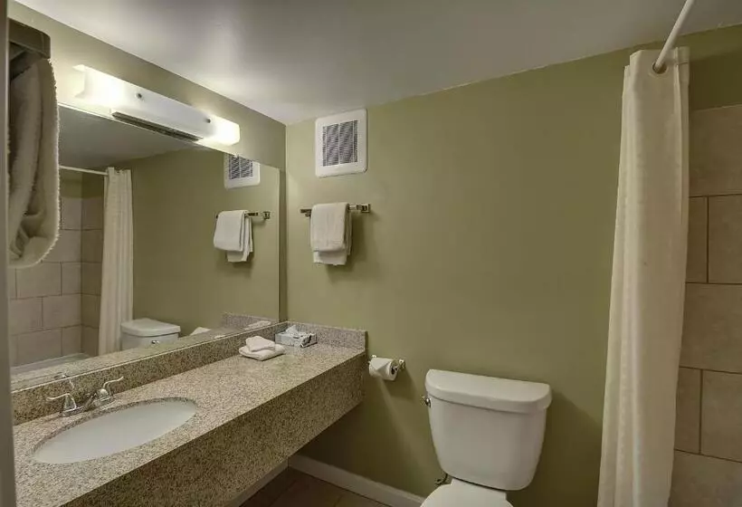 デラックスルーム, Colonial Motel And Spa
