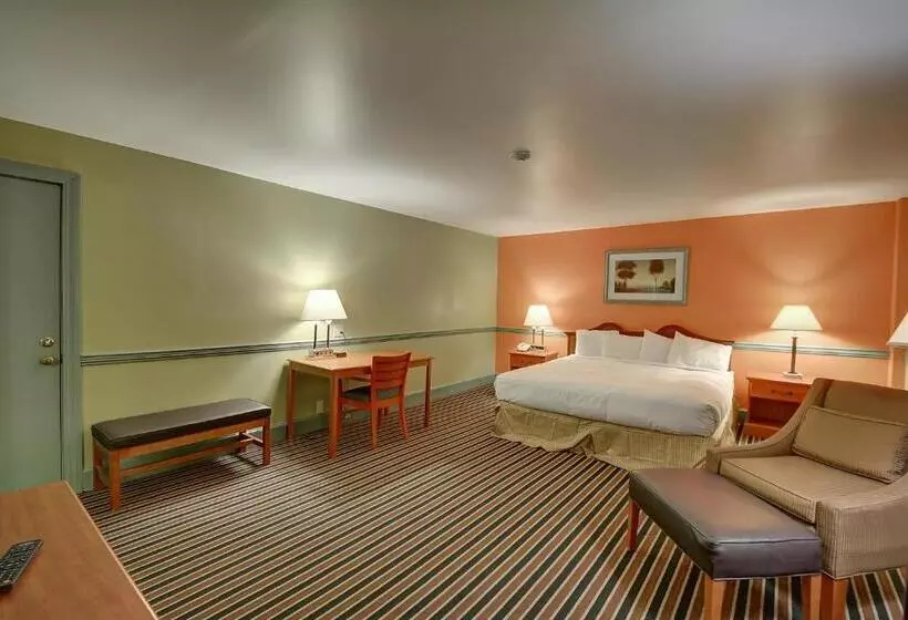 キングサイズベッドのデラックスルーム, Colonial Motel And Spa