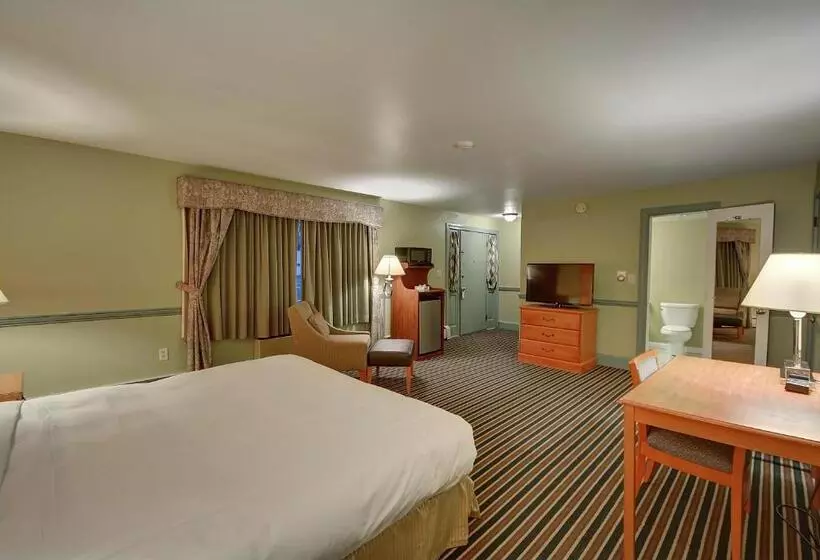 キングサイズベッドのデラックスルーム, Colonial Motel And Spa