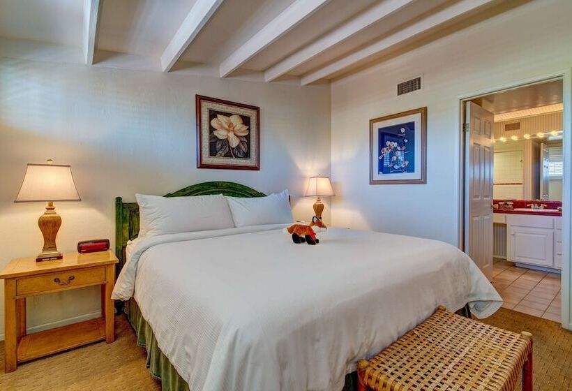 חדר סטנדרט מיטה זוגית, Borrego Springs Resort And Spa