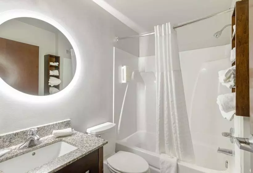 سوئیت با وان آب گرم, Clarion Pointe Staunton East