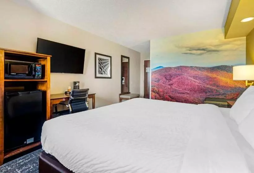 اتاق استاندارد با تخت بزرگ, Clarion Pointe Staunton East