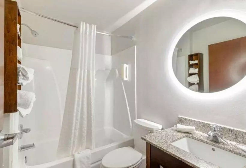 اتاق استاندارد با تخت بزرگ, Clarion Pointe Staunton East