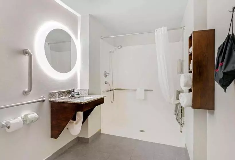 اتاق استاندارد برای معلولان, Clarion Pointe Staunton East