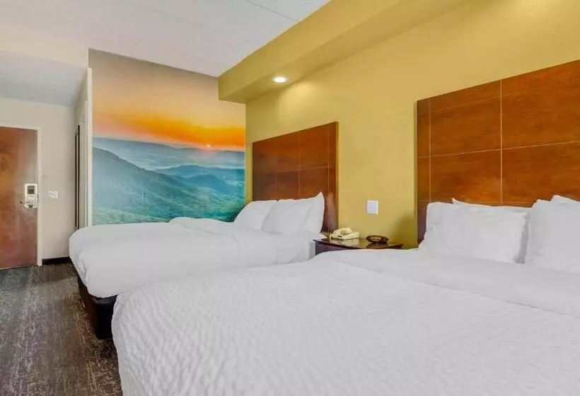اتاق استاندارد برای معلولان, Clarion Pointe Staunton East