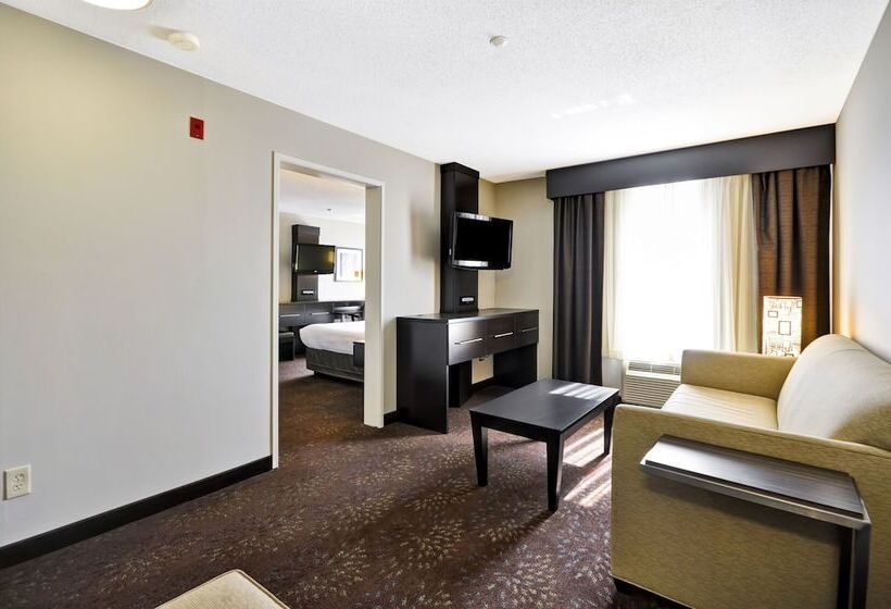Люкс Кровать Кинг, Holiday Inn Express Romulus / Detroit Airport, An Ihg