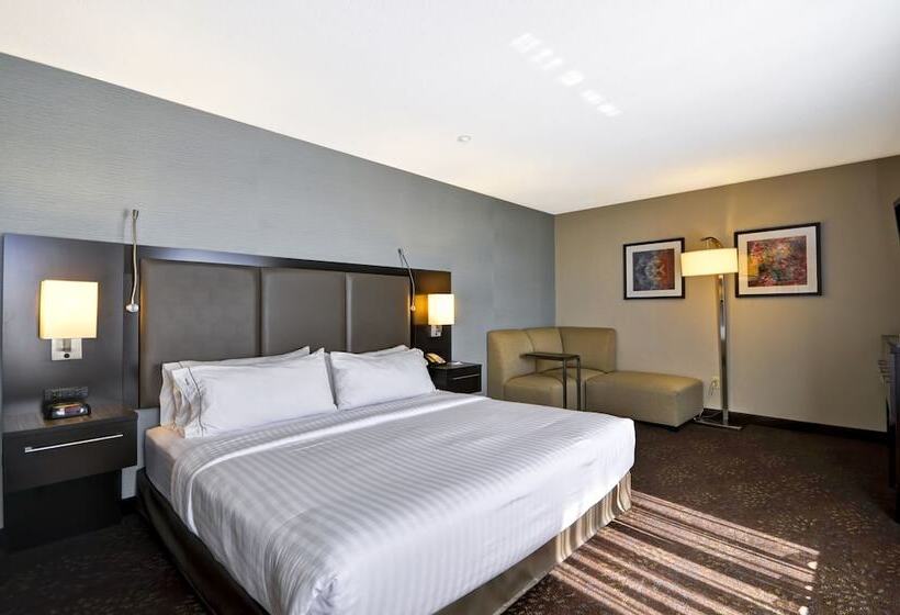 Люкс Кровать Кинг, Holiday Inn Express Romulus / Detroit Airport, An Ihg