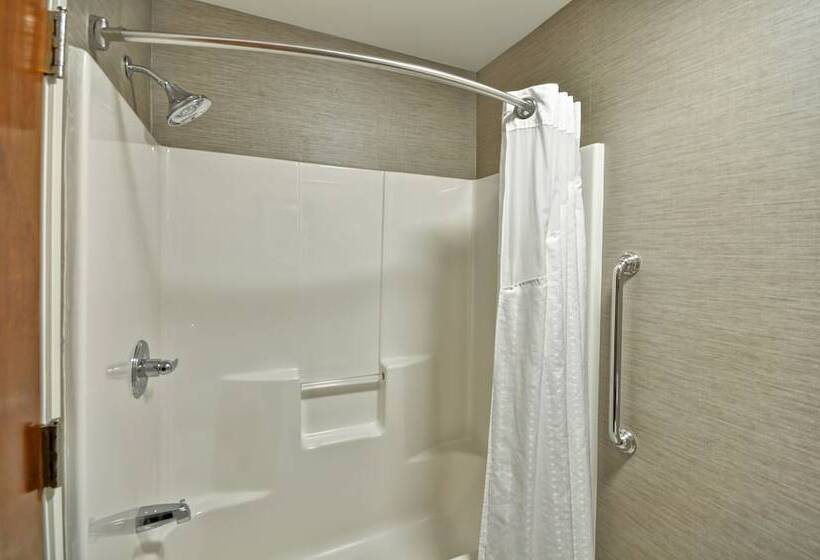 Номер Стандарт, Holiday Inn Express Romulus / Detroit Airport, An Ihg