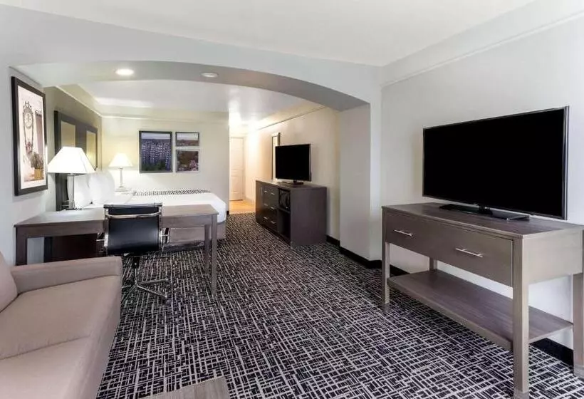 キングサイズベッドのデラックスルーム, La Quinta By Wyndham Seguin