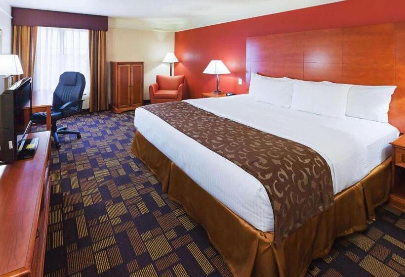 غرفة قياسية سرير كينج لذوى الإحتياجات الخاصة, La Quinta By Wyndham Seguin