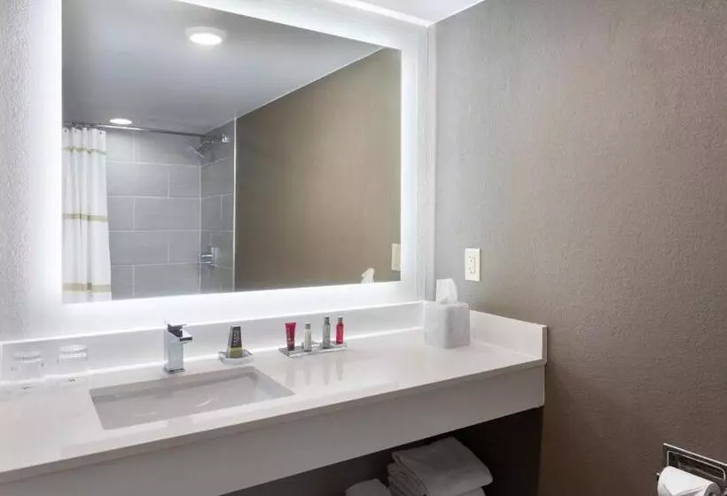اتاق استاندارد با بالکن, Marriott Phoenix Airport