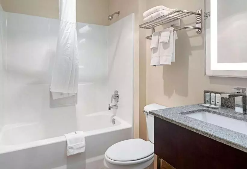 キングサイズベッドのスタンダードルーム, Quality Inn & Suites