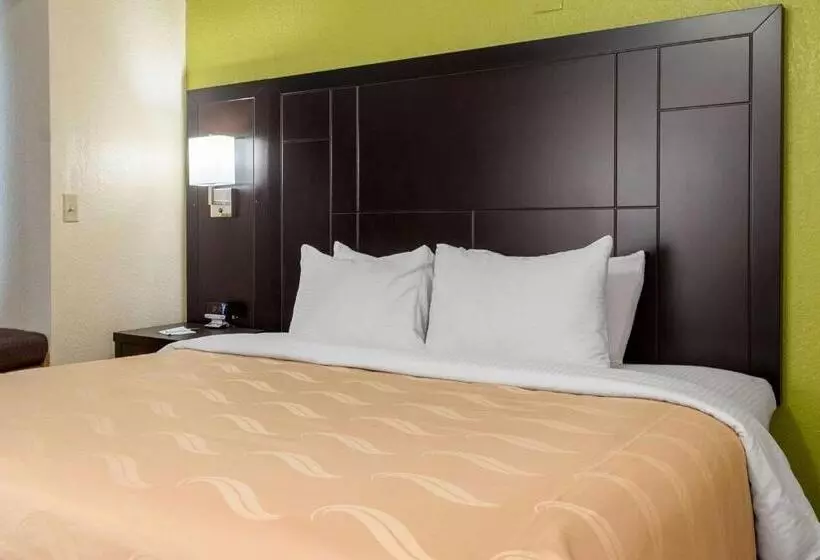 キングサイズベッドのスタンダードルーム, Quality Inn & Suites