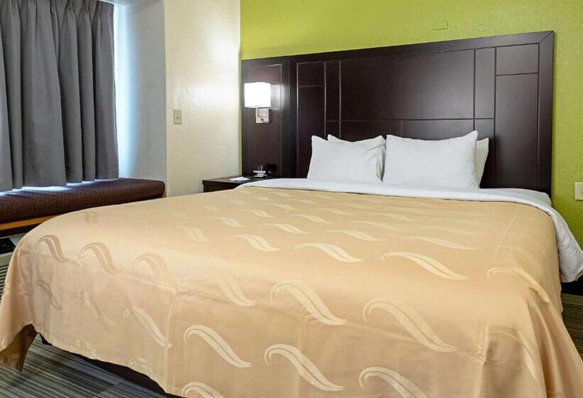 带大床的标准间, Quality Inn & Suites