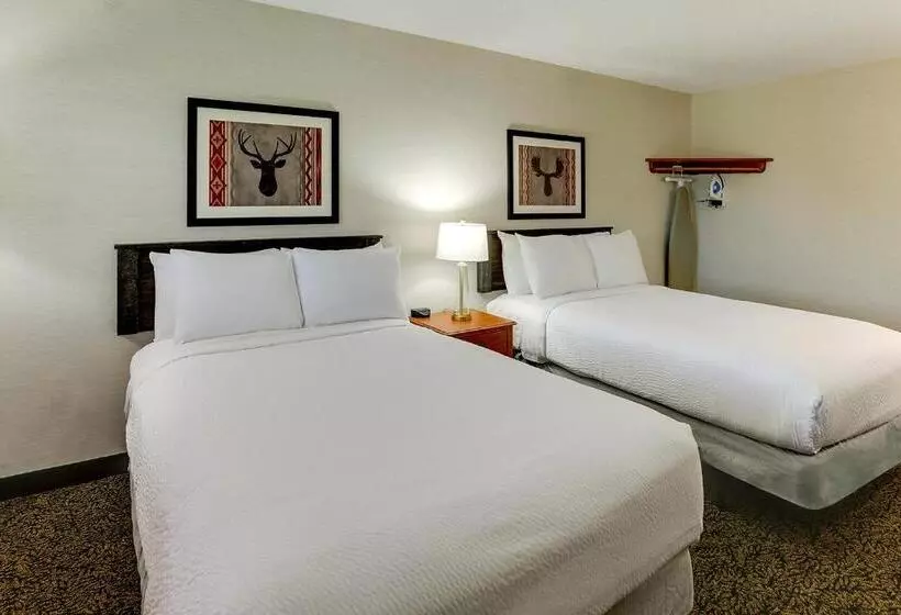 Deluxe-huone, Stoney Creek Hotel Peoria