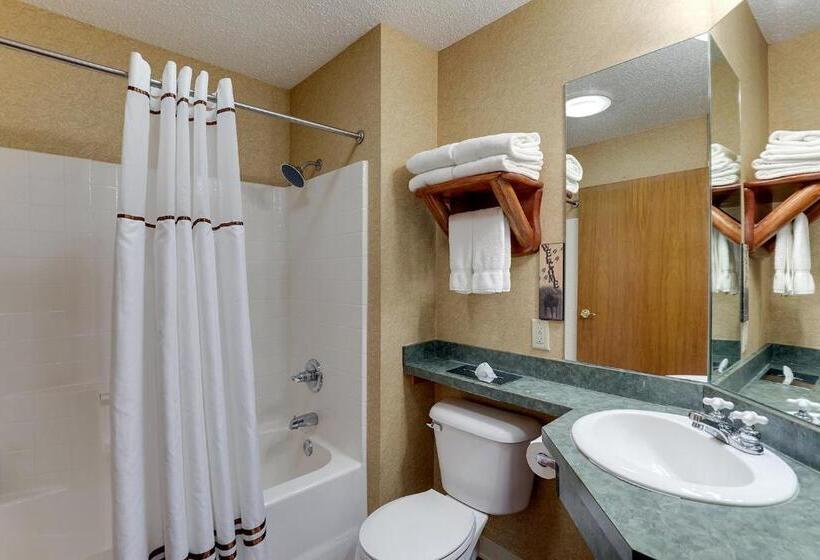 חדר דחוקס עם מיטת קינג, Stoney Creek Hotel Peoria