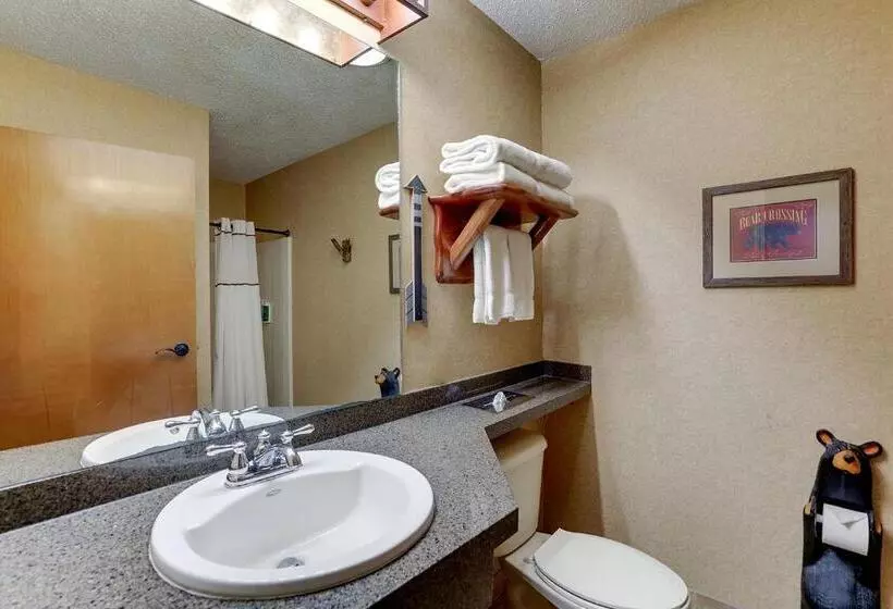 Superior-sviitti, Stoney Creek Hotel Peoria