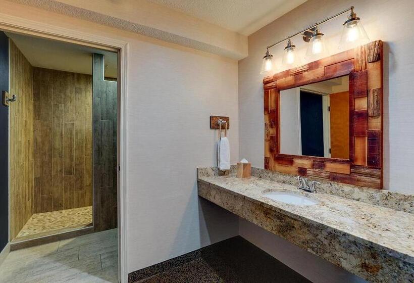 Полулюкс, Stoney Creek Hotel Peoria
