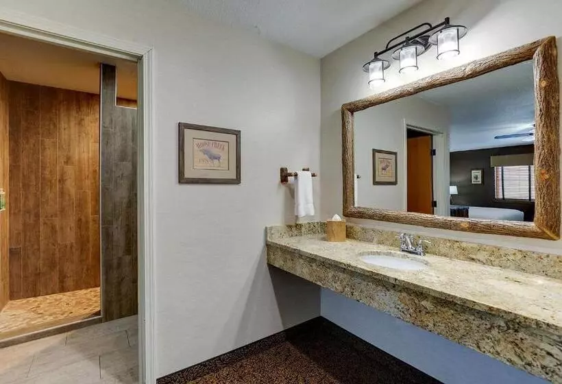 Perhesviitti, Stoney Creek Hotel Peoria