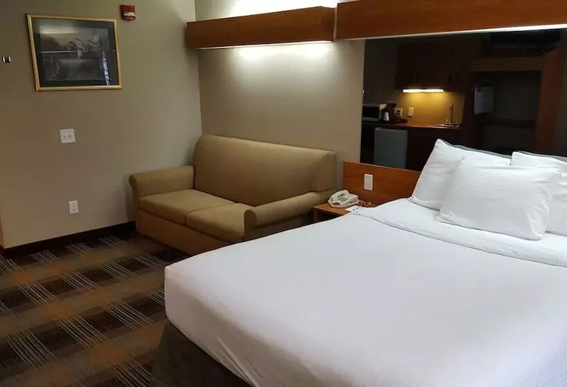 سوییت, Microtel Inn & Suites By Wyndham Bozeman
