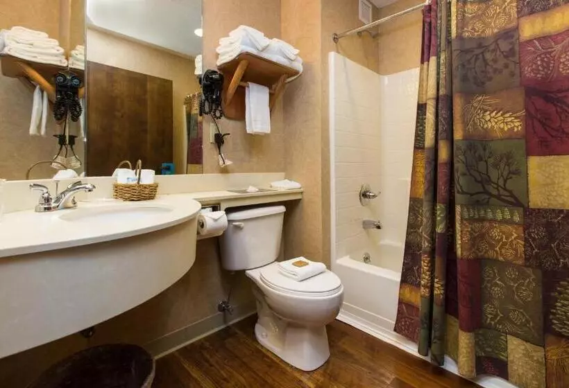 キングサイズベッドのデラックスルーム, Stoney Creek Hotel La Crosse   Onalaska