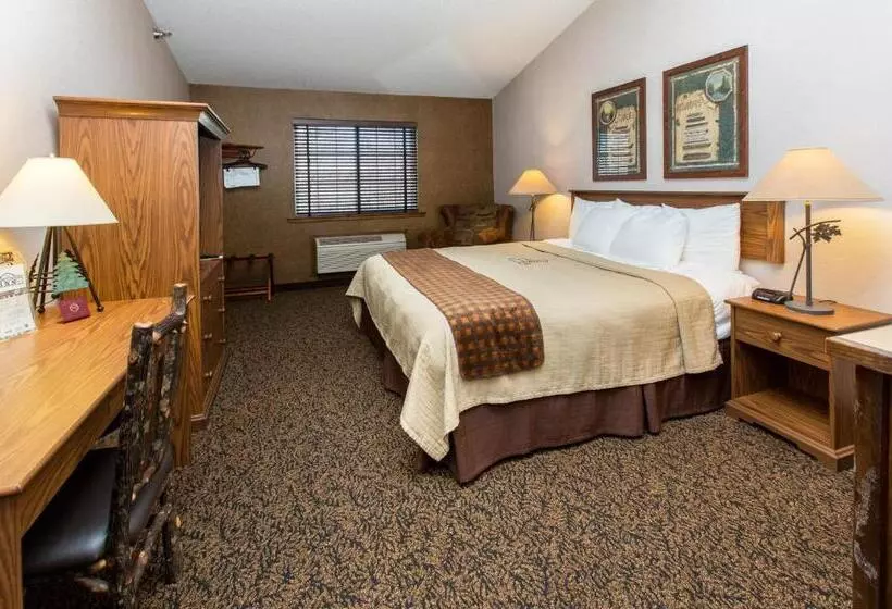 キングサイズベッドのデラックスルーム, Stoney Creek Hotel La Crosse   Onalaska