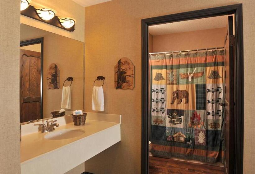 جناح سوبيريور, Stoney Creek Hotel La Crosse   Onalaska